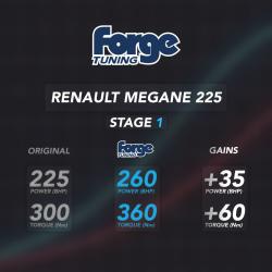 Renault Megane 225 (Stage 1 and 2 Available) Renault Megane 225 (Stage 1 and 2 Available)